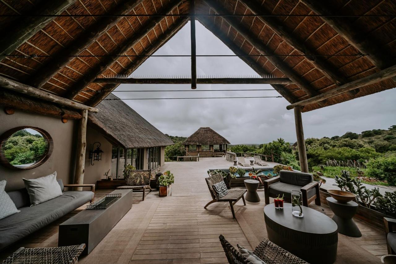 Bukela Game Lodge - Amakhala Game Reserve Bagian luar foto