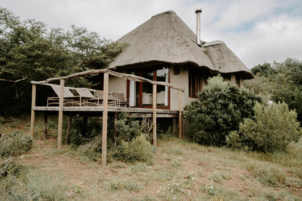 Bukela Game Lodge - Amakhala Game Reserve Bagian luar foto