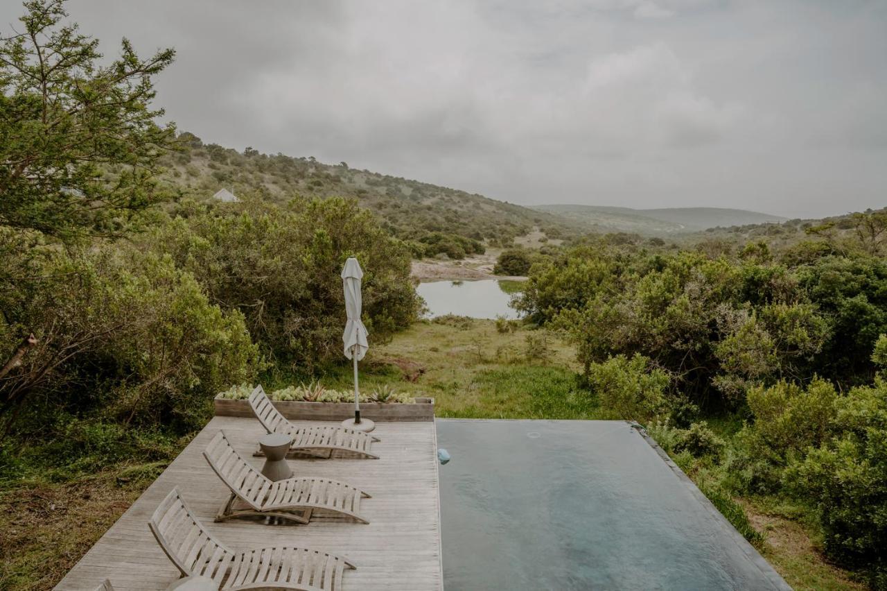 Bukela Game Lodge - Amakhala Game Reserve Bagian luar foto