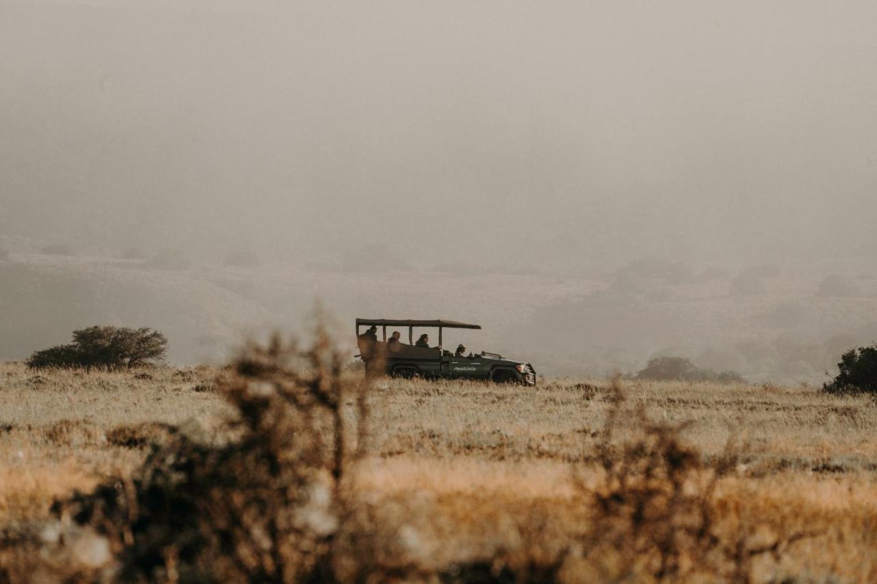 Bukela Game Lodge - Amakhala Game Reserve Bagian luar foto