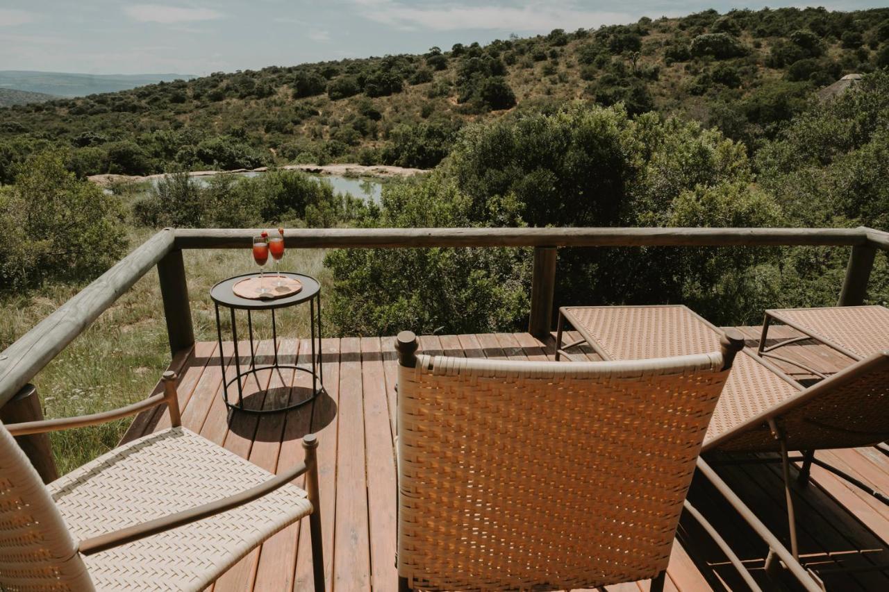 Bukela Game Lodge - Amakhala Game Reserve Bagian luar foto