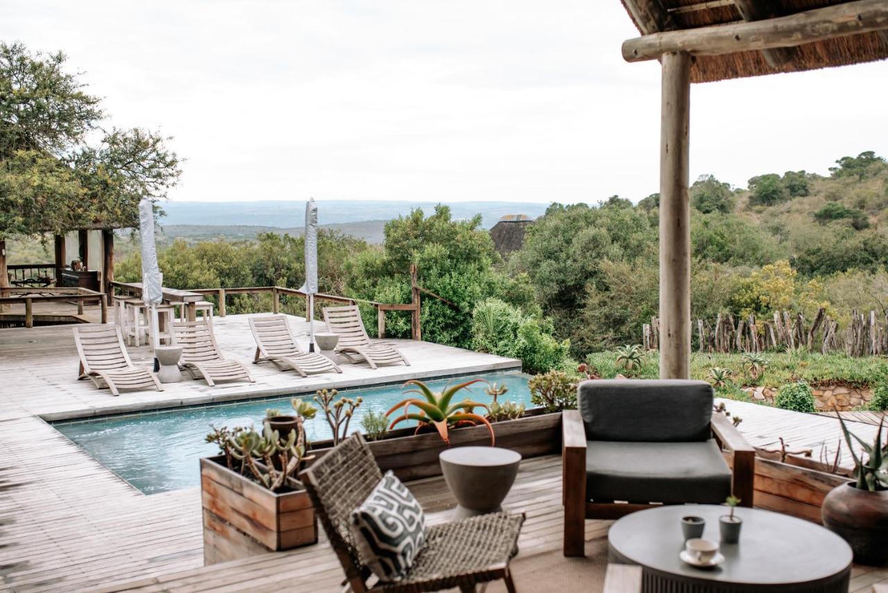 Bukela Game Lodge - Amakhala Game Reserve Bagian luar foto