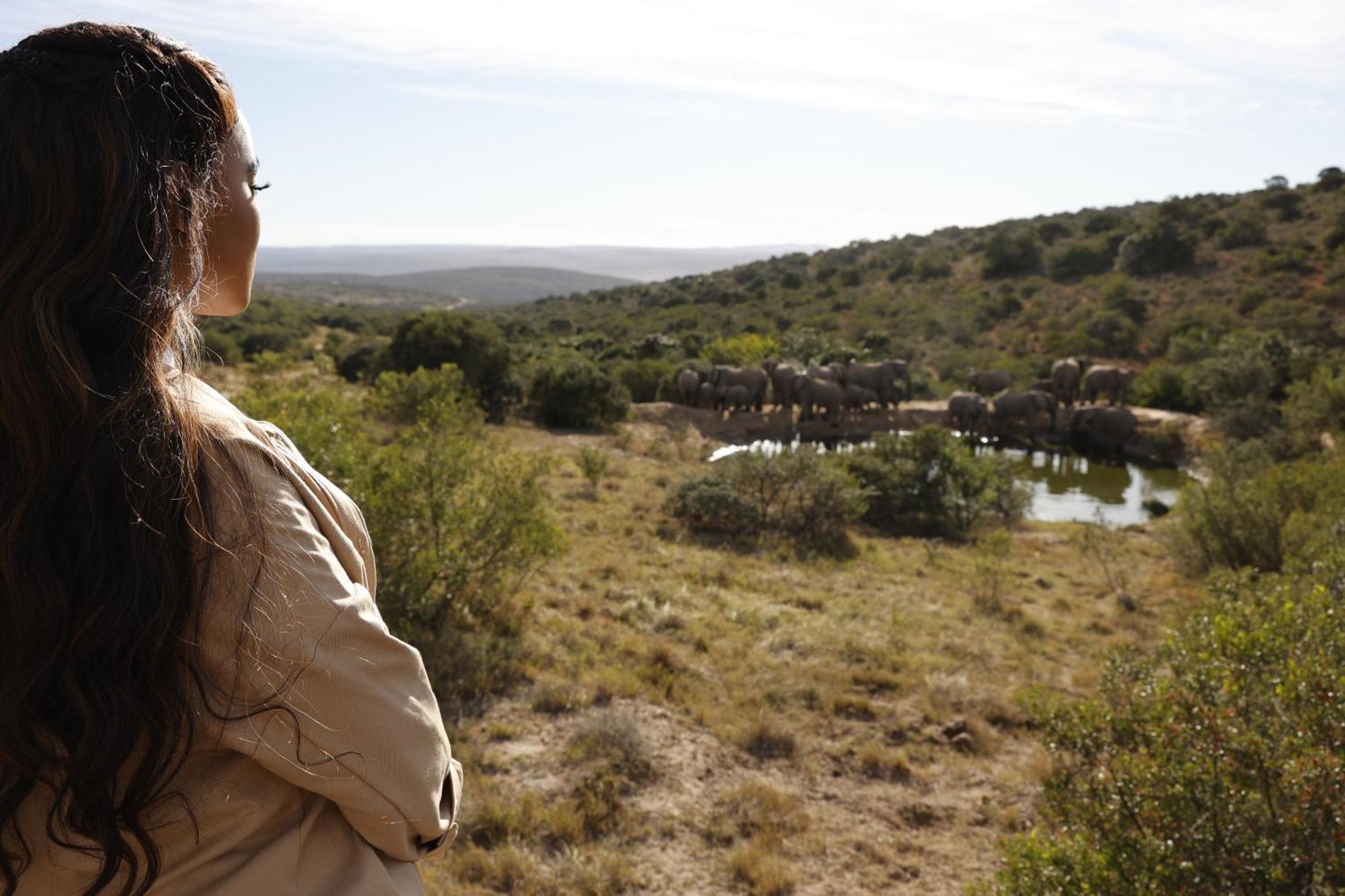 Bukela Game Lodge - Amakhala Game Reserve Bagian luar foto