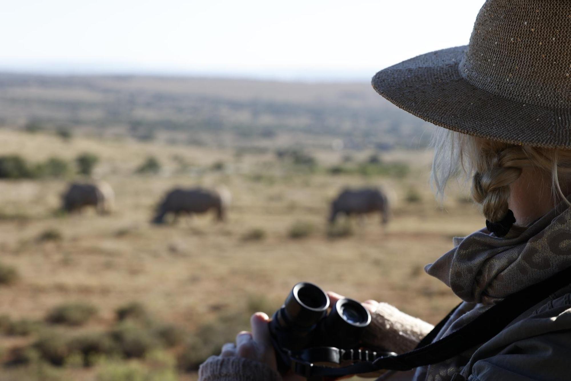 Bukela Game Lodge - Amakhala Game Reserve Bagian luar foto